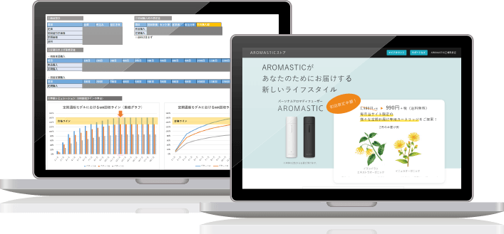 通販事業や各種リード系のサービスなど